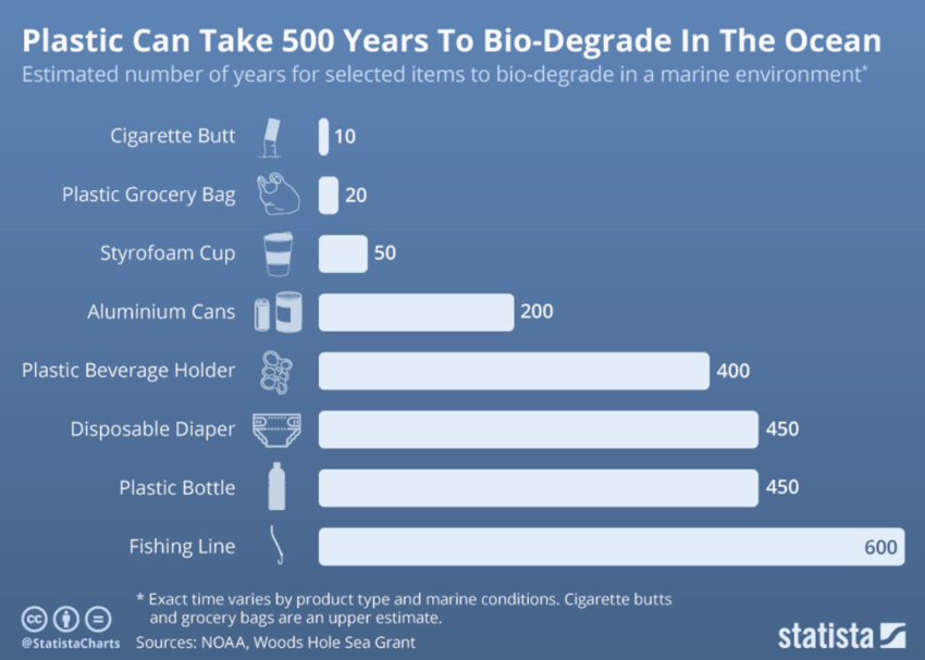 The environmental impact of beauty product